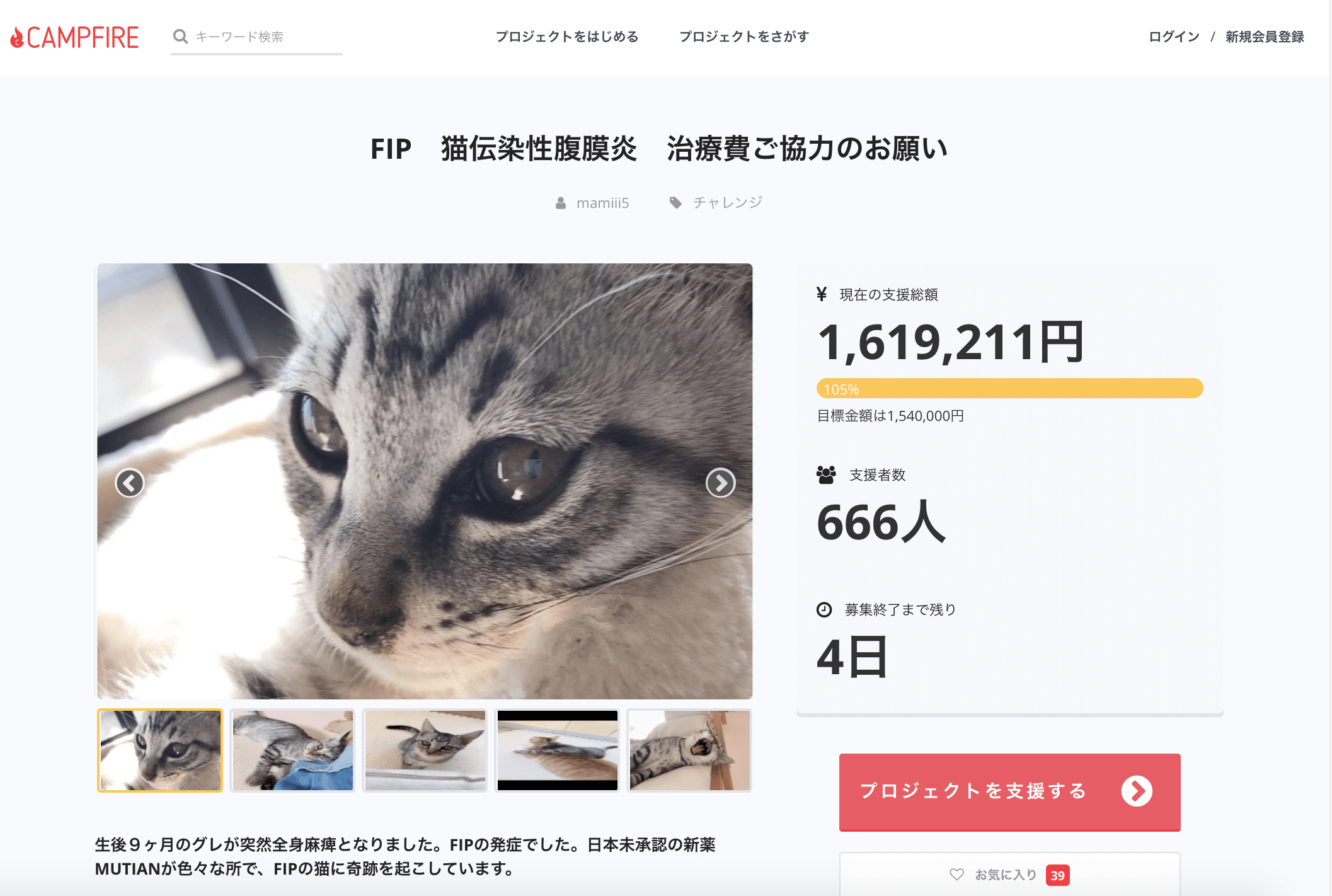 保護猫のグレくん 1,619,211円達成